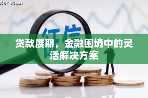 乳源贷款展期，金融困境中的灵活解决方案