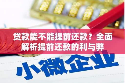 乳源贷款能不能提前还款？全面解析提前还款的利与弊
