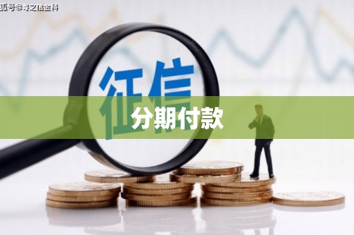 乳源分期付款