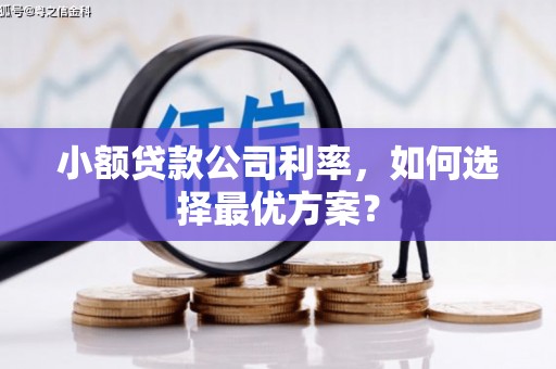 乳源小额贷款公司利率，如何选择最优方案？