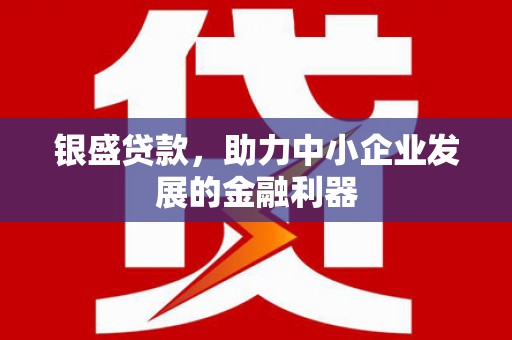 乳源银盛贷款，助力中小企业发展的金融利器