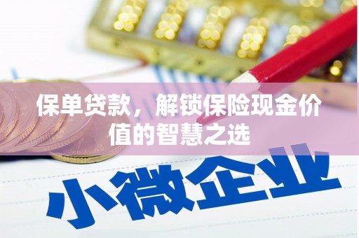 乳源保单贷款，解锁保险现金价值的智慧之选