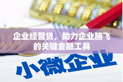 乳源企业经营贷，助力企业腾飞的关键金融工具