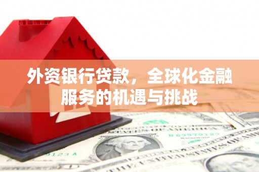 乳源外资银行贷款，全球化金融服务的机遇与挑战