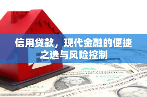 乳源信用贷款，现代金融的便捷之选与风险控制