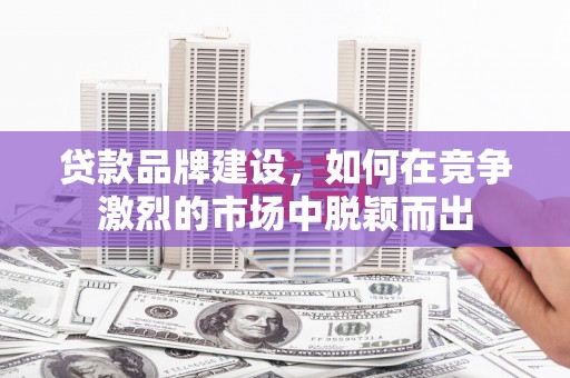 乳源贷款品牌建设，如何在竞争激烈的市场中脱颖而出