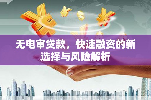 乳源无电审贷款，快速融资的新选择与风险解析