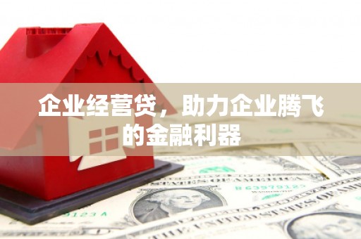 乳源企业经营贷，助力企业腾飞的金融利器