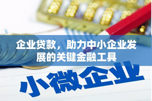 乳源企业贷款，助力中小企业发展的关键金融工具