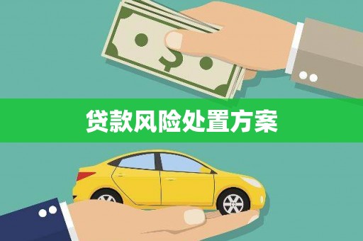 乳源贷款风险处置方案