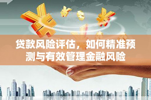 乳源贷款风险评估，如何精准预测与有效管理金融风险