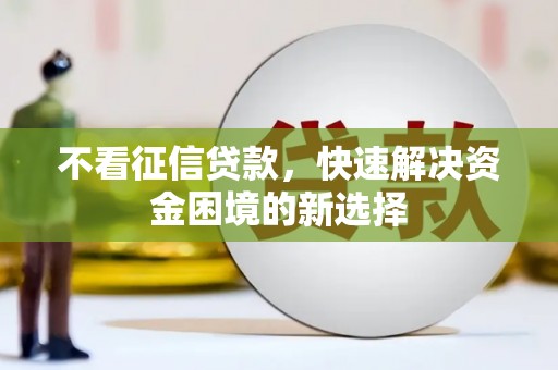 乳源不看征信贷款，快速解决资金困境的新选择