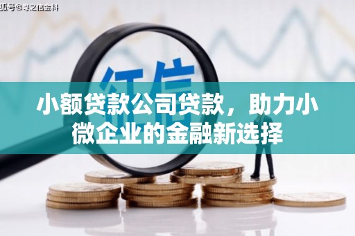 乳源小额贷款公司贷款，助力小微企业的金融新选择