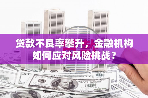 乳源贷款不良率攀升，金融机构如何应对风险挑战？