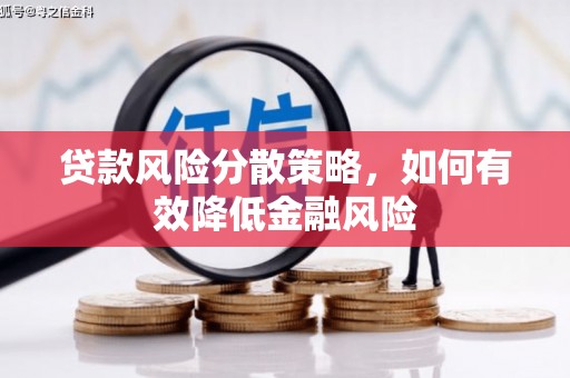 乳源贷款风险分散策略，如何有效降低金融风险