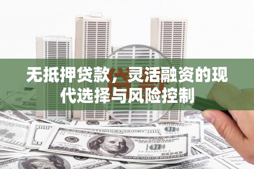 乳源无抵押贷款，灵活融资的现代选择与风险控制