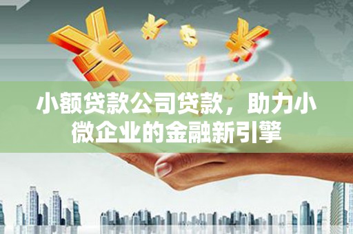 乳源小额贷款公司贷款，助力小微企业的金融新引擎
