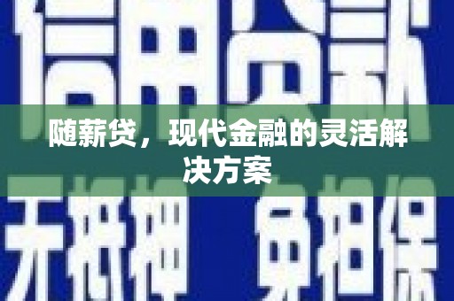 乳源随薪贷，现代金融的灵活解决方案