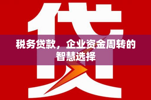 乳源税务贷款，企业资金周转的智慧选择