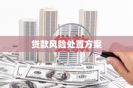 乳源贷款风险处置方案