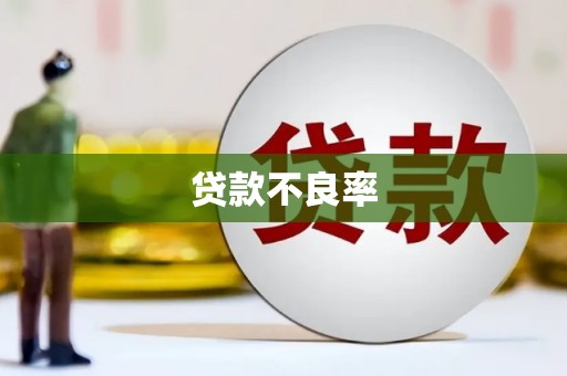 乳源贷款不良率