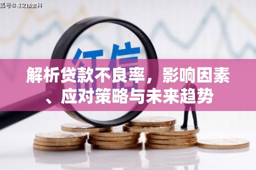 乳源解析贷款不良率，影响因素、应对策略与未来趋势