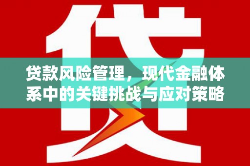 乳源贷款风险管理，现代金融体系中的关键挑战与应对策略