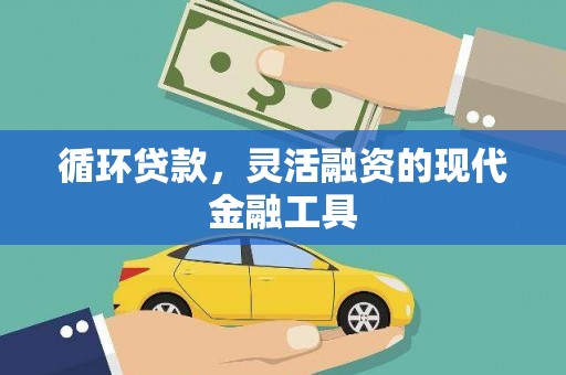 乳源循环贷款，灵活融资的现代金融工具