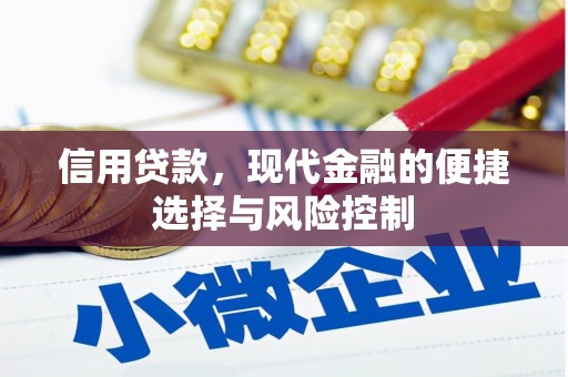 乳源信用贷款，现代金融的便捷选择与风险控制