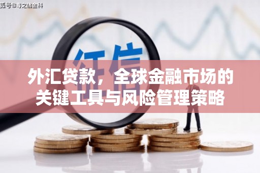 乳源外汇贷款，全球金融市场的关键工具与风险管理策略
