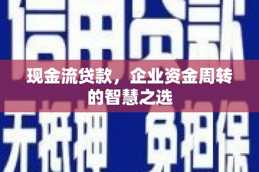 乳源现金流贷款，企业资金周转的智慧之选