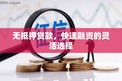 乳源无抵押贷款，快速融资的灵活选择