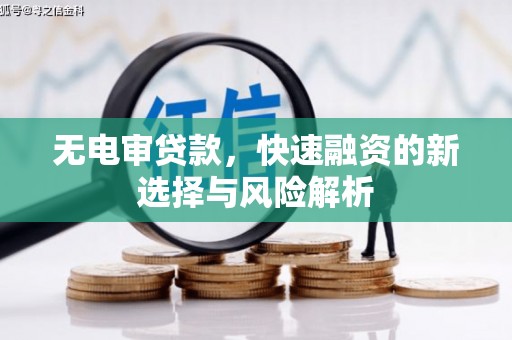 乳源无电审贷款，快速融资的新选择与风险解析