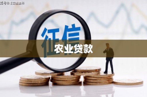 乳源农业贷款