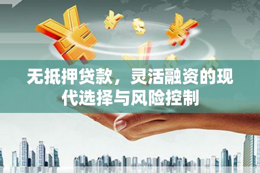 乳源无抵押贷款，灵活融资的现代选择与风险控制