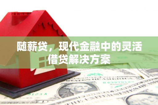 乳源随薪贷，现代金融中的灵活借贷解决方案