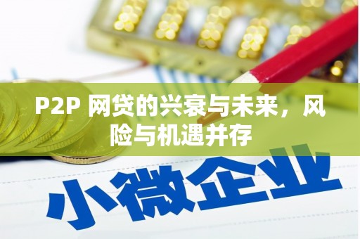 乳源P2P 网贷的兴衰与未来，风险与机遇并存