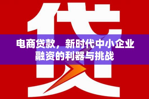 乳源电商贷款，新时代中小企业融资的利器与挑战