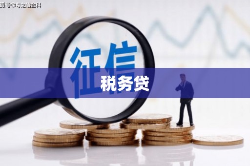 乳源税务贷