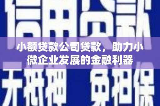 乳源小额贷款公司贷款，助力小微企业发展的金融利器