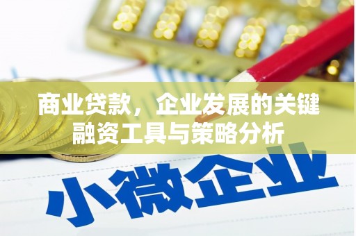 乳源商业贷款，企业发展的关键融资工具与策略分析