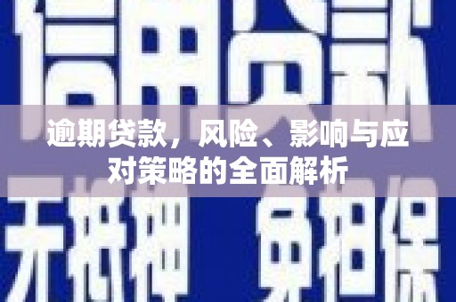 乳源逾期贷款，风险、影响与应对策略的全面解析