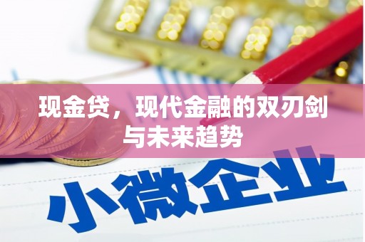 乳源现金贷，现代金融的双刃剑与未来趋势