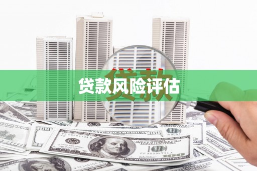 乳源贷款风险评估