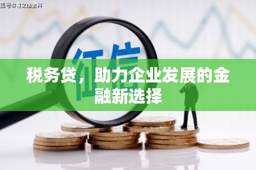 乳源税务贷，助力企业发展的金融新选择