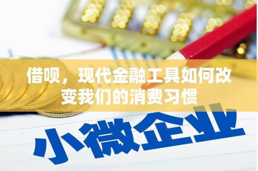 乳源借呗，现代金融工具如何改变我们的消费习惯