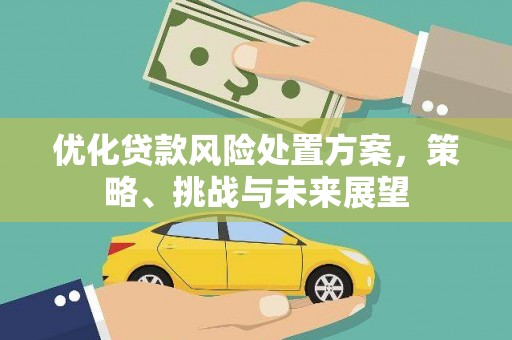 乳源优化贷款风险处置方案，策略、挑战与未来展望