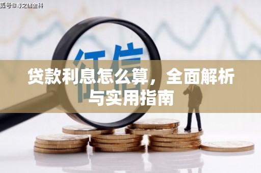 乳源贷款利息怎么算，全面解析与实用指南