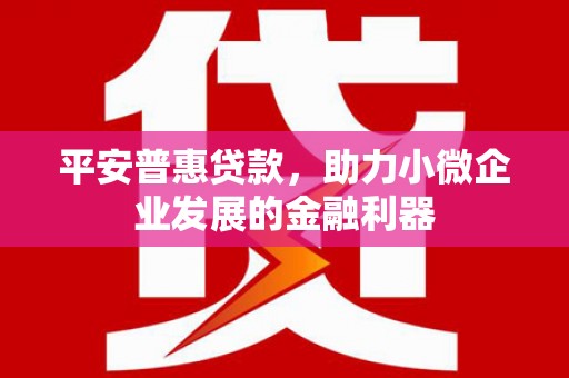 乳源平安普惠贷款，助力小微企业发展的金融利器