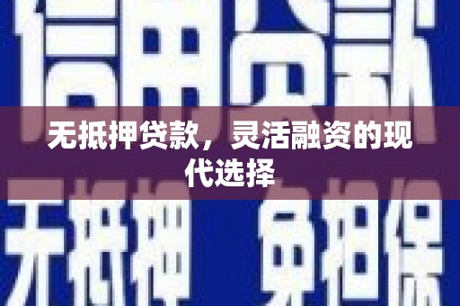 乳源无抵押贷款，灵活融资的现代选择